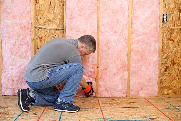 Best Wall Insulation Installation  in Schulenburg, TX